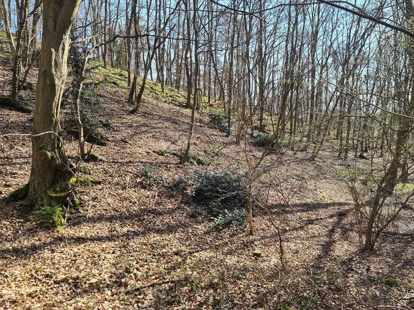 Predaj pozemku 8.326 m², Wiesengrund, Waldesch, Porýnie-Falcko Predaj pozemku 8.326 m², Wiesengrund, Waldesch, Porýnie-Falcko