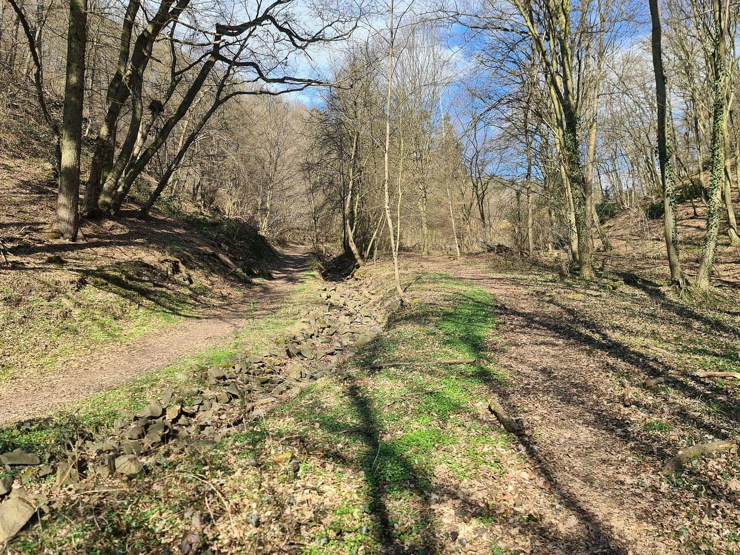 Predaj pozemku 8.326 m², Wiesengrund, Waldesch, Porýnie-Falcko Predaj pozemku 8.326 m², Wiesengrund, Waldesch, Porýnie-Falcko