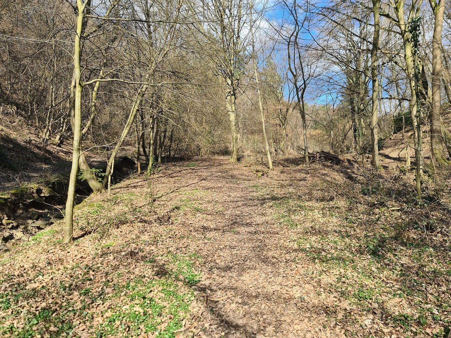 Predaj pozemku 8.326 m², Wiesengrund, Waldesch, Porýnie-Falcko Predaj pozemku 8.326 m², Wiesengrund, Waldesch, Porýnie-Falcko