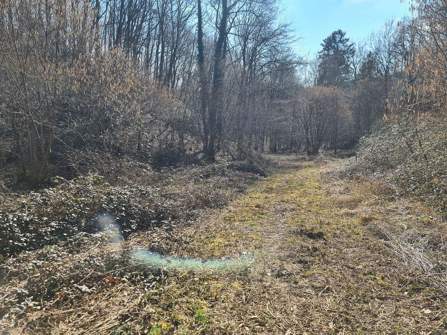 Predaj pozemku 8.326 m², Wiesengrund, Waldesch, Porýnie-Falcko Predaj pozemku 8.326 m², Wiesengrund, Waldesch, Porýnie-Falcko