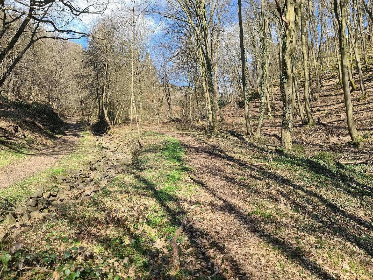 Predaj pozemku 8.326 m², Wiesengrund, Waldesch, Porýnie-Falcko Predaj pozemku 8.326 m², Wiesengrund, Waldesch, Porýnie-Falcko