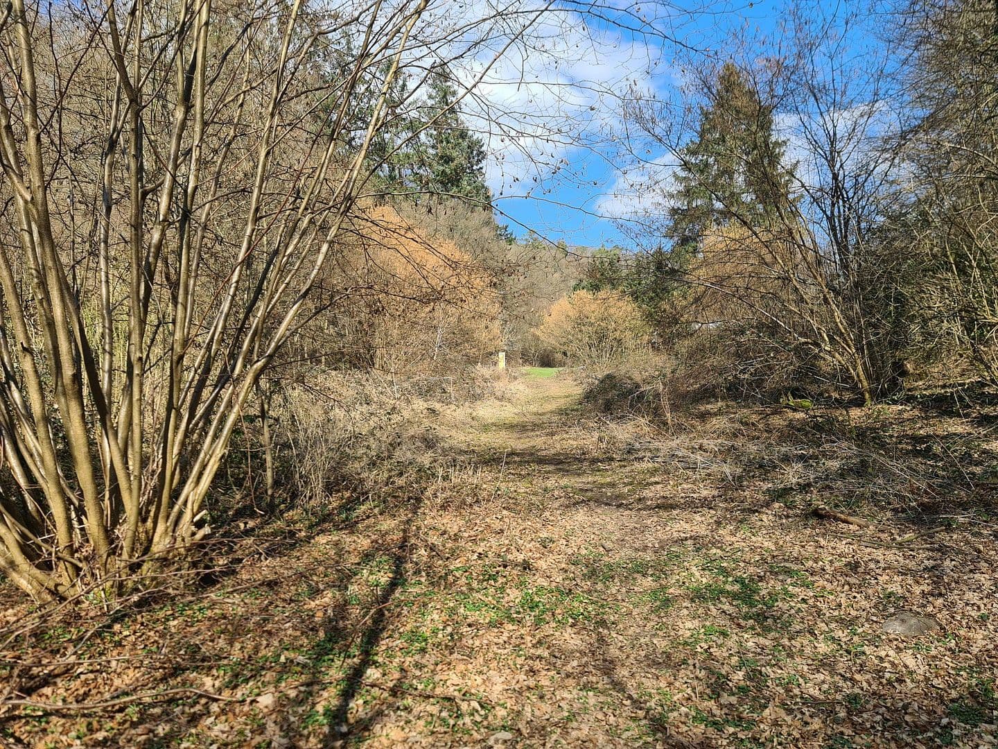 Predaj pozemku 8.326 m², Wiesengrund, Waldesch, Porýnie-Falcko Predaj pozemku 8.326 m², Wiesengrund, Waldesch, Porýnie-Falcko