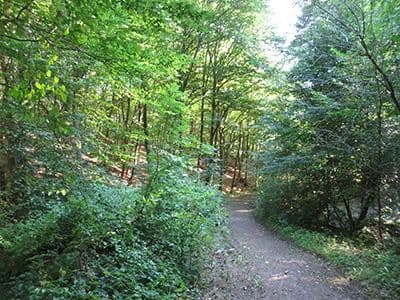 Predaj pozemku 8.326 m², Wiesengrund, Waldesch, Porýnie-Falcko Predaj pozemku 8.326 m², Wiesengrund, Waldesch, Porýnie-Falcko