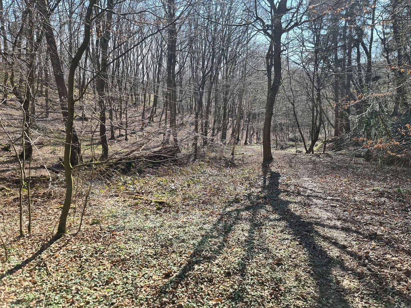 Predaj pozemku 8.326 m², Wiesengrund, Waldesch, Porýnie-Falcko Predaj pozemku 8.326 m², Wiesengrund, Waldesch, Porýnie-Falcko