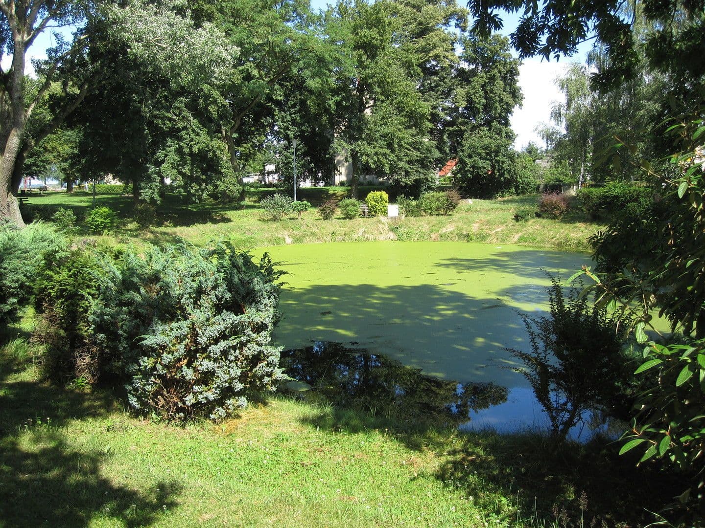 Predaj domu 3.600 m², pozemek 8.126 m², Zettemin, Meklenbursko-Predpomoransko Predaj domu 3.600 m², pozemek 8.126 m², Zettemin, Meklenbursko-Predpomoransko