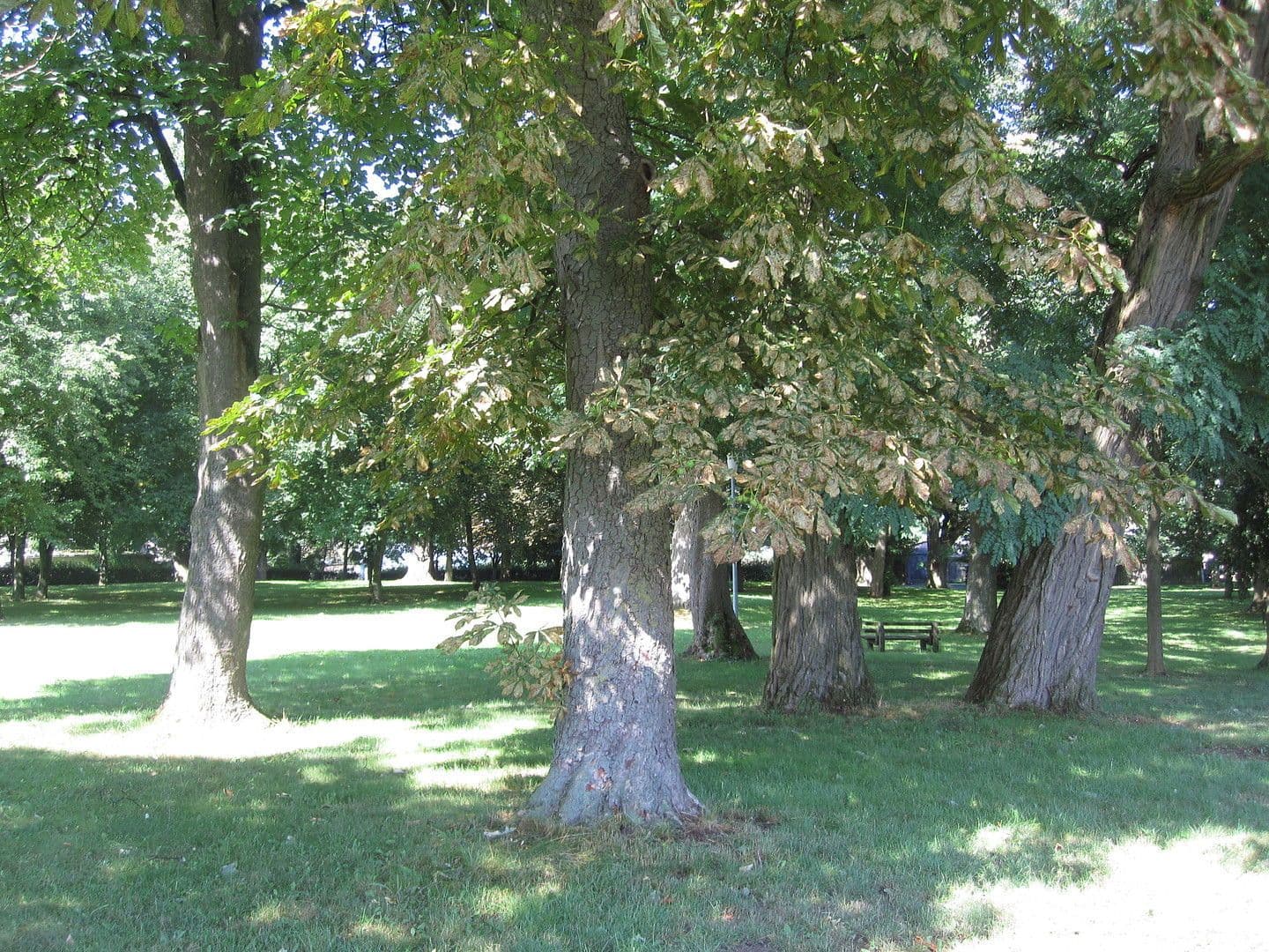 Predaj domu 3.600 m², pozemek 8.126 m², Zettemin, Meklenbursko-Predpomoransko Predaj domu 3.600 m², pozemek 8.126 m², Zettemin, Meklenbursko-Predpomoransko