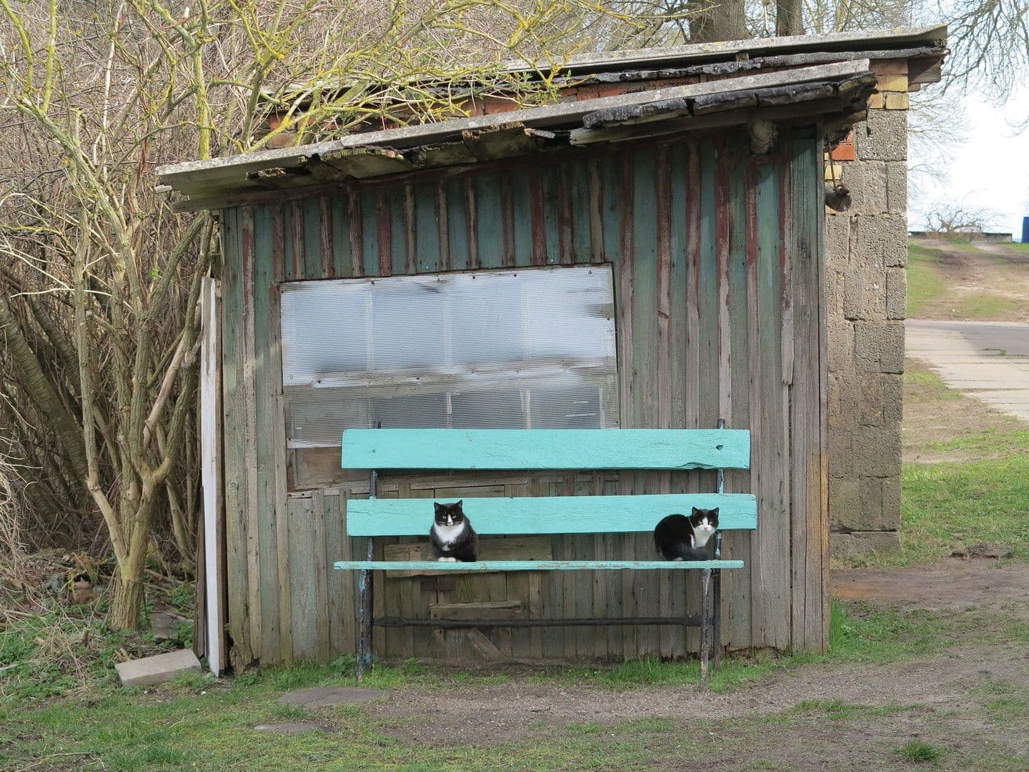 Predaj domu 3.600 m², pozemek 8.126 m², Zettemin, Meklenbursko-Predpomoransko Predaj domu 3.600 m², pozemek 8.126 m², Zettemin, Meklenbursko-Predpomoransko