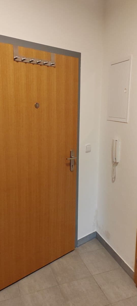 Prenájom bytu 1-izbový 42 m², Družstevní ochoz, Praha, Praha Prenájom bytu 1-izbový 42 m², Družstevní ochoz, Praha, Praha