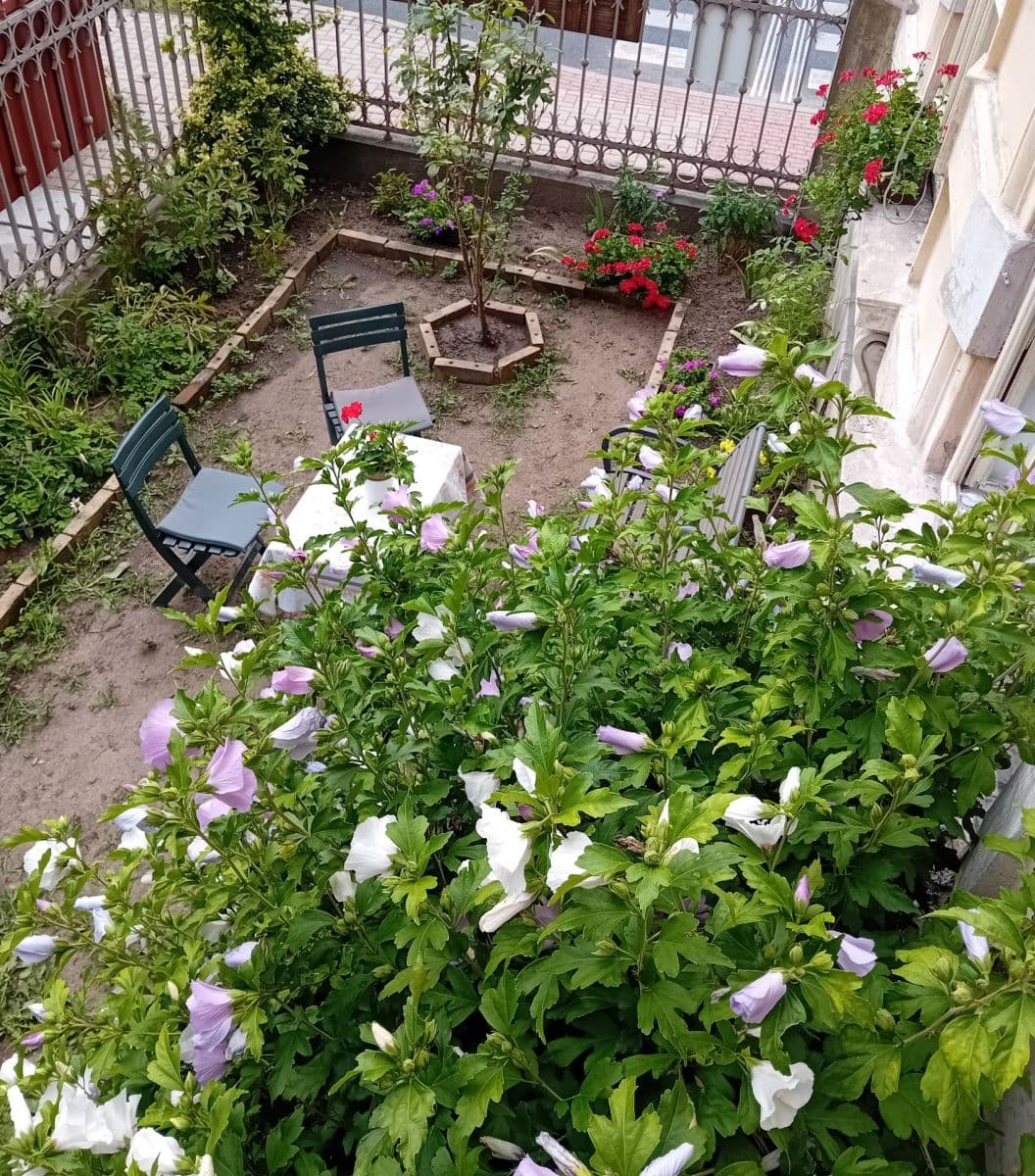 Prenájom bytu 1-izbový 65 m², Roháče z Dubé, Česká Lípa, Liberecký kraj Prenájom bytu 1-izbový 65 m², Roháče z Dubé, Česká Lípa, Liberecký kraj