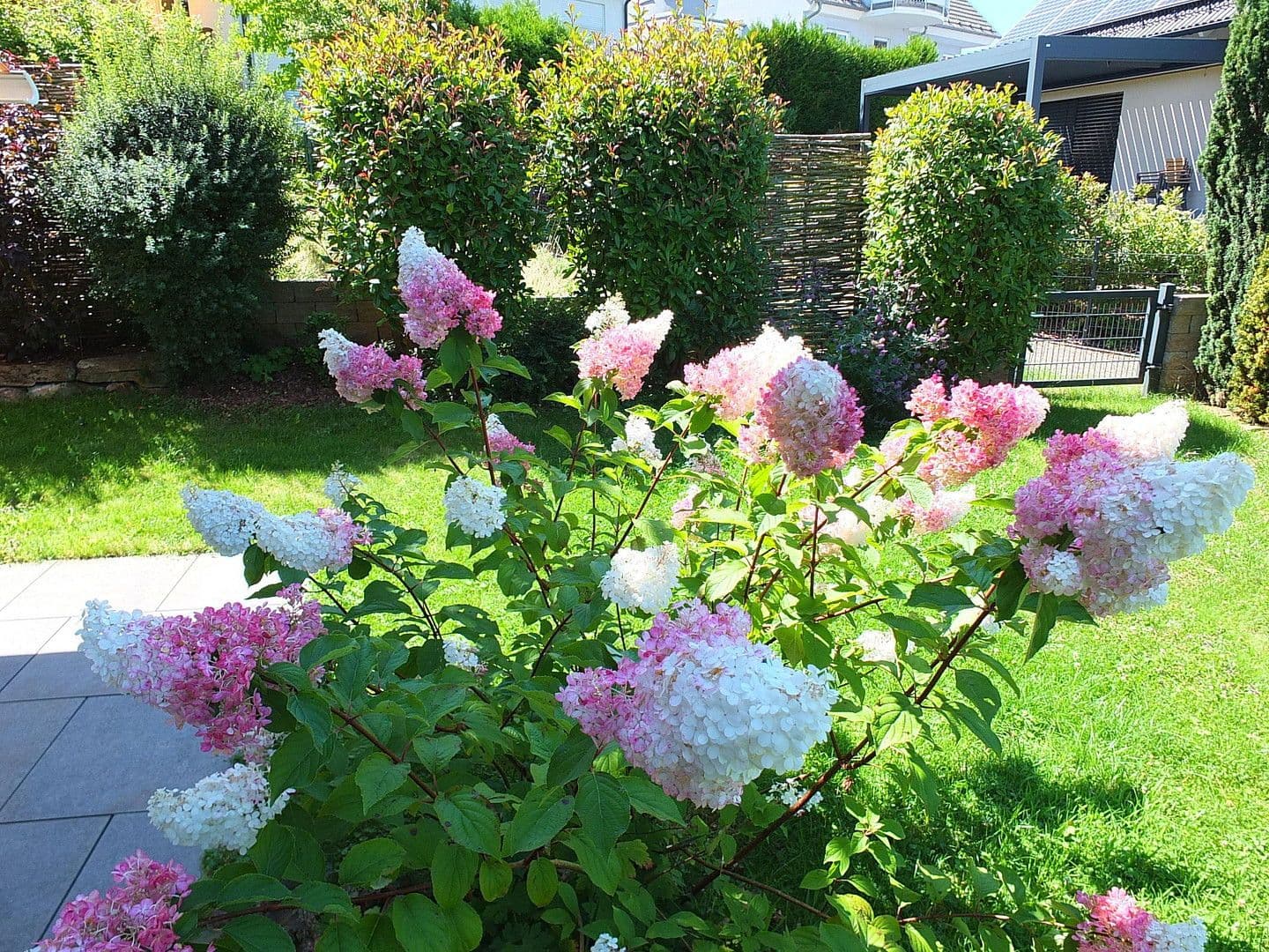 Predaj domu 177 m², pozemek 312 m², Haibach, Bavorsko Predaj domu 177 m², pozemek 312 m², Haibach, Bavorsko