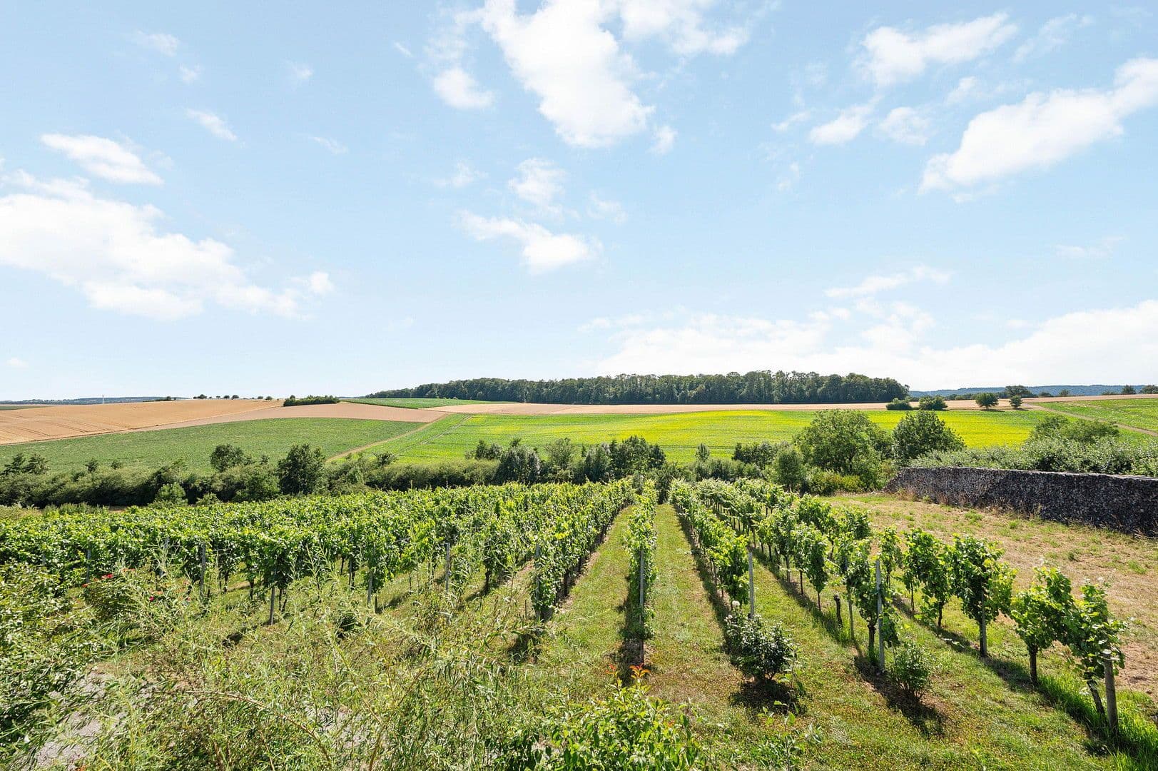 Prenájom bytu 3-izbový 92 m², Gundelsheim, Bádensko-Wurttembersko Prenájom bytu 3-izbový 92 m², Gundelsheim, Bádensko-Wurttembersko