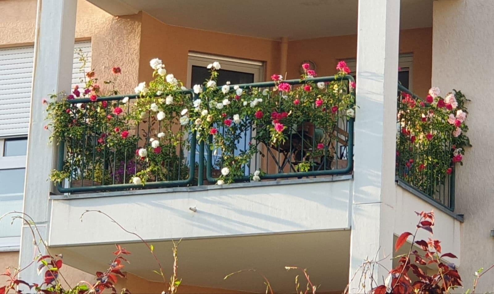 Predaj bytu 3-izbový 86 m², Am Carlusbaum, Bad Soden am Taunus, Hesensko Predaj bytu 3-izbový 86 m², Am Carlusbaum, Bad Soden am Taunus, Hesensko