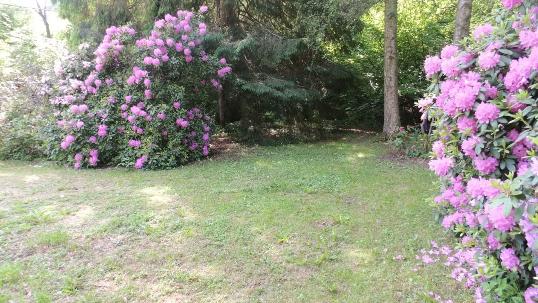 Prenájom bytu 3-izbový 119 m², Schwimmbadstraße 7, Bad Herrenalb, Bádensko-Wurttembersko Prenájom bytu 3-izbový 119 m², Schwimmbadstraße 7, Bad Herrenalb, Bádensko-Wurttembersko