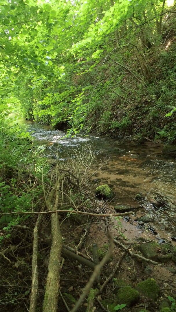 Prenájom bytu 3-izbový 119 m², Schwimmbadstraße 7, Bad Herrenalb, Bádensko-Wurttembersko Prenájom bytu 3-izbový 119 m², Schwimmbadstraße 7, Bad Herrenalb, Bádensko-Wurttembersko