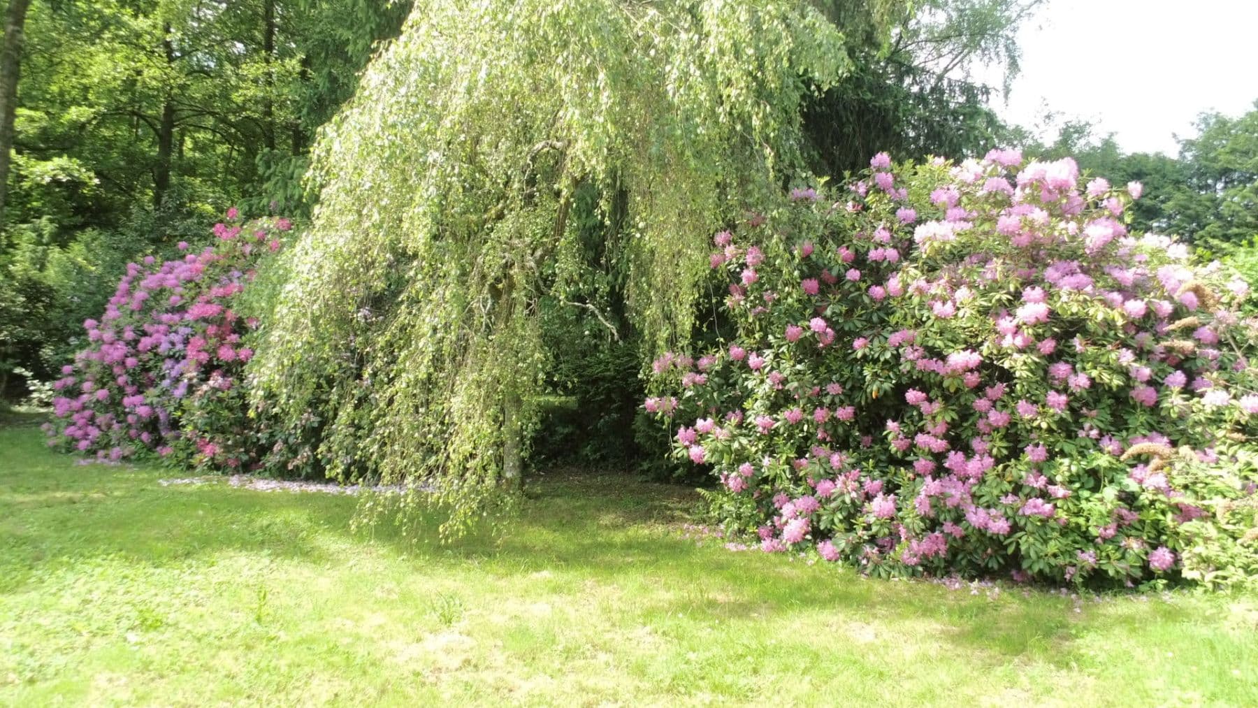 Prenájom bytu 3-izbový 119 m², Schwimmbadstraße 7, Bad Herrenalb, Bádensko-Wurttembersko Prenájom bytu 3-izbový 119 m², Schwimmbadstraße 7, Bad Herrenalb, Bádensko-Wurttembersko