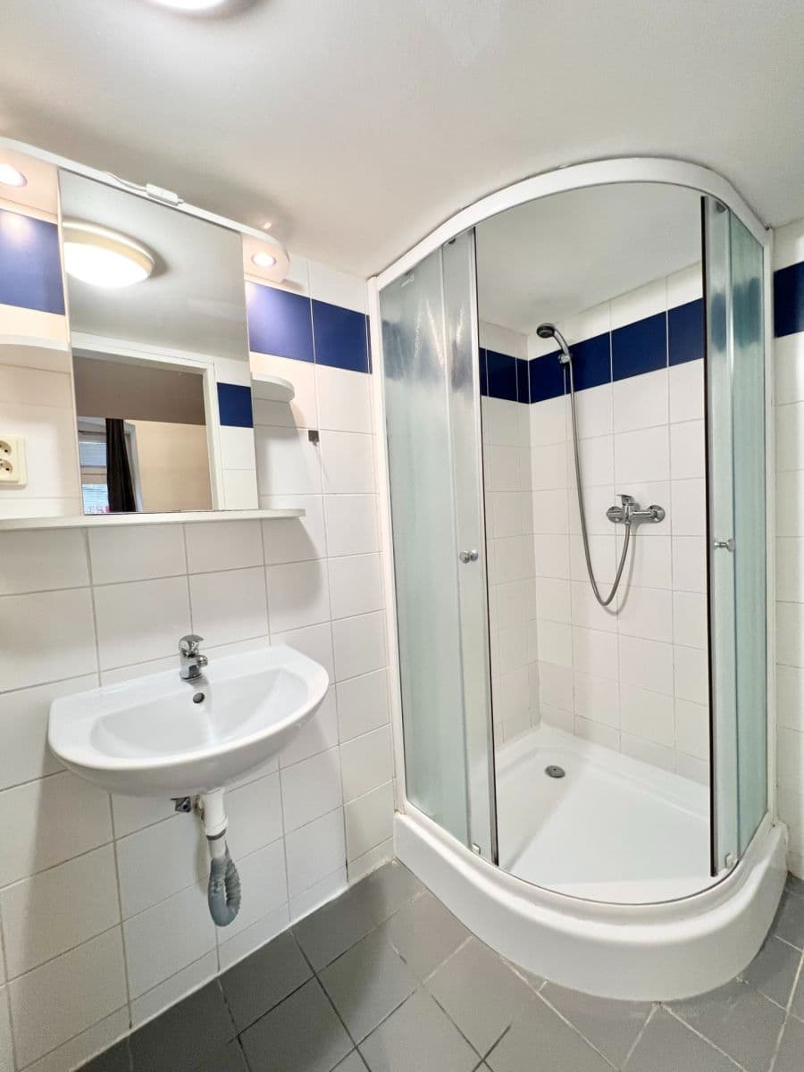 Prenájom bytu 1-izbový 24 m², Václavská, Brno, Jihomoravský kraj Prenájom bytu 1-izbový 24 m², Václavská, Brno, Jihomoravský kraj