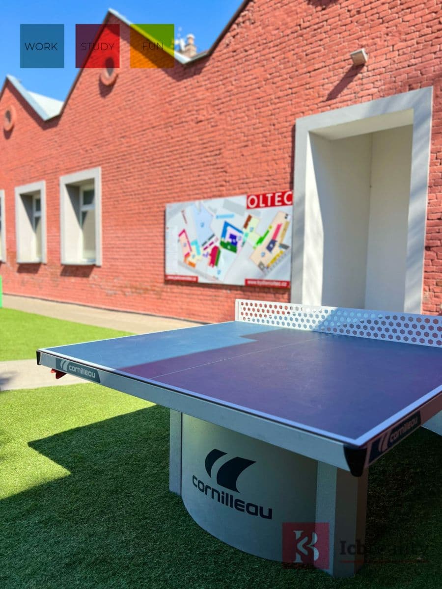 Prenájom bytu 1-izbový 24 m², Václavská, Brno, Jihomoravský kraj Prenájom bytu 1-izbový 24 m², Václavská, Brno, Jihomoravský kraj