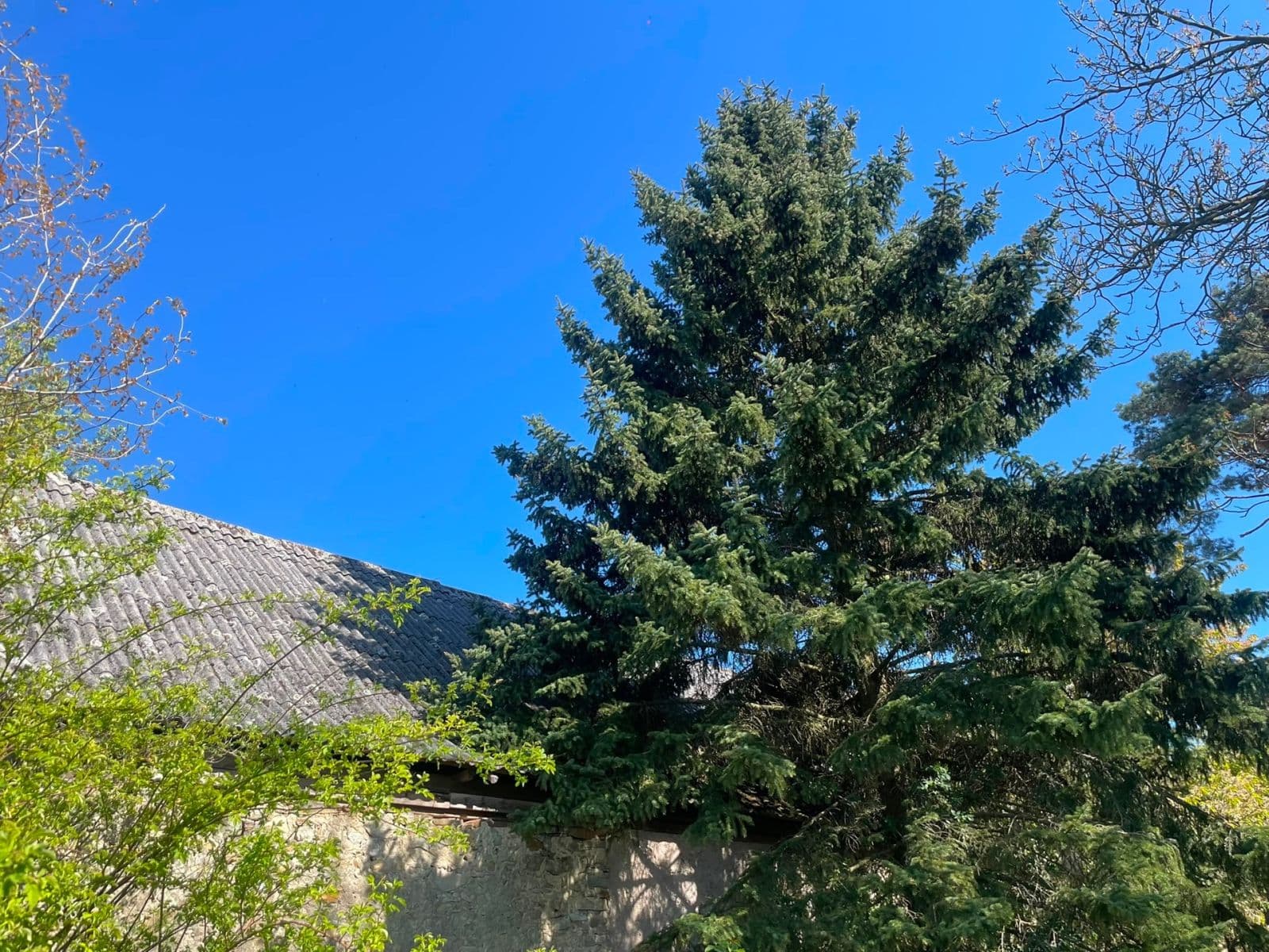 Predaj rekreačného objektu 100 m², pozemok 900 m², Staňkovice, Středočeský kraj Predaj rekreačného objektu 100 m², pozemok 900 m², Staňkovice, Středočeský kraj