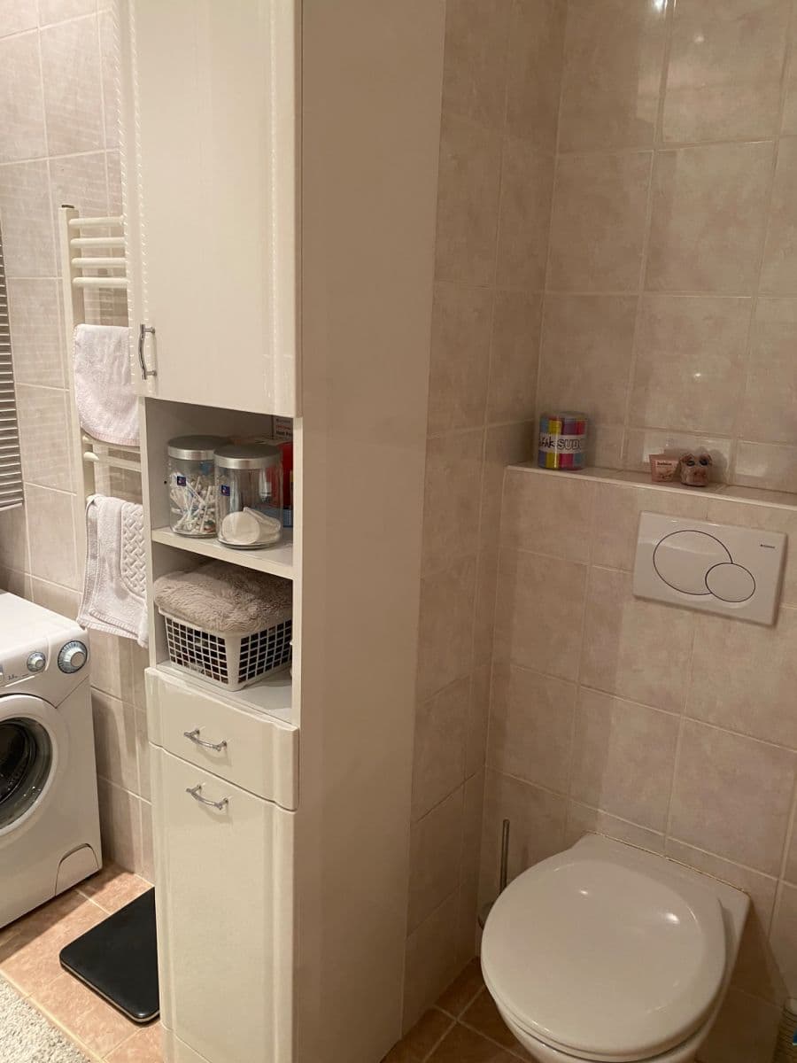 Prenájom bytu 1-izbový 48 m², Jana Želivského, Praha, Praha Prenájom bytu 1-izbový 48 m², Jana Želivského, Praha, Praha