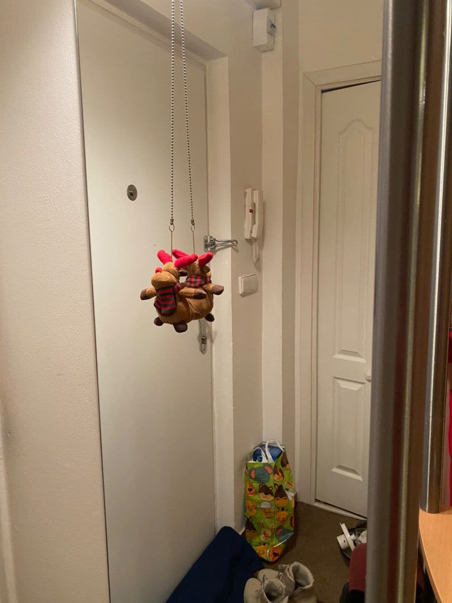 Prenájom bytu 1-izbový 48 m², Jana Želivského, Praha, Praha Prenájom bytu 1-izbový 48 m², Jana Želivského, Praha, Praha