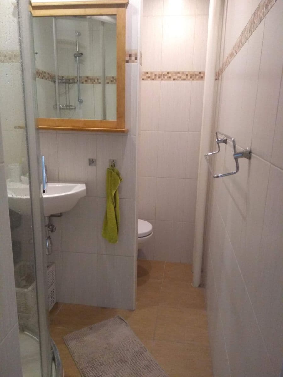 Prenájom bytu 1-izbový 39 m², Palackého třída, Pardubice, Pardubický kraj Prenájom bytu 1-izbový 39 m², Palackého třída, Pardubice, Pardubický kraj