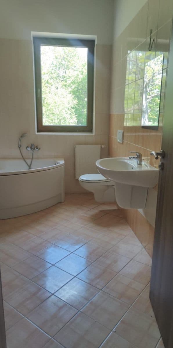 Predaj domu 347 m², pozemek 1.370 m², Nová Role, Karlovarský kraj Predaj domu 347 m², pozemek 1.370 m², Nová Role, Karlovarský kraj