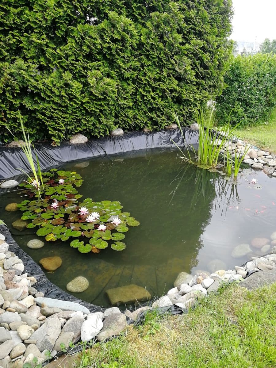 Predaj domu 120 m², pozemek 1.737 m², Stonava, Moravskoslezský kraj Predaj domu 120 m², pozemek 1.737 m², Stonava, Moravskoslezský kraj