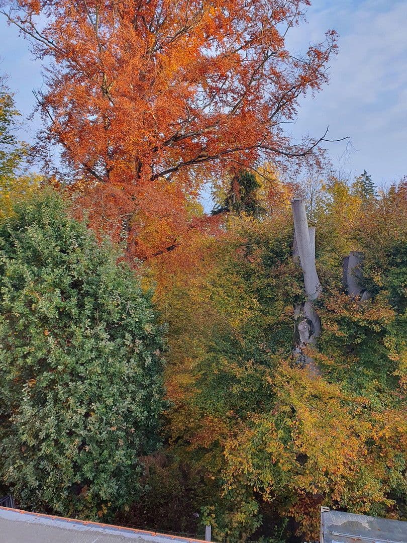 Prenájom bytu 3-izbový 95 m², Berg-am-Laim-Str. 60a, München, Bavorsko Prenájom bytu 3-izbový 95 m², Berg-am-Laim-Str. 60a, München, Bavorsko