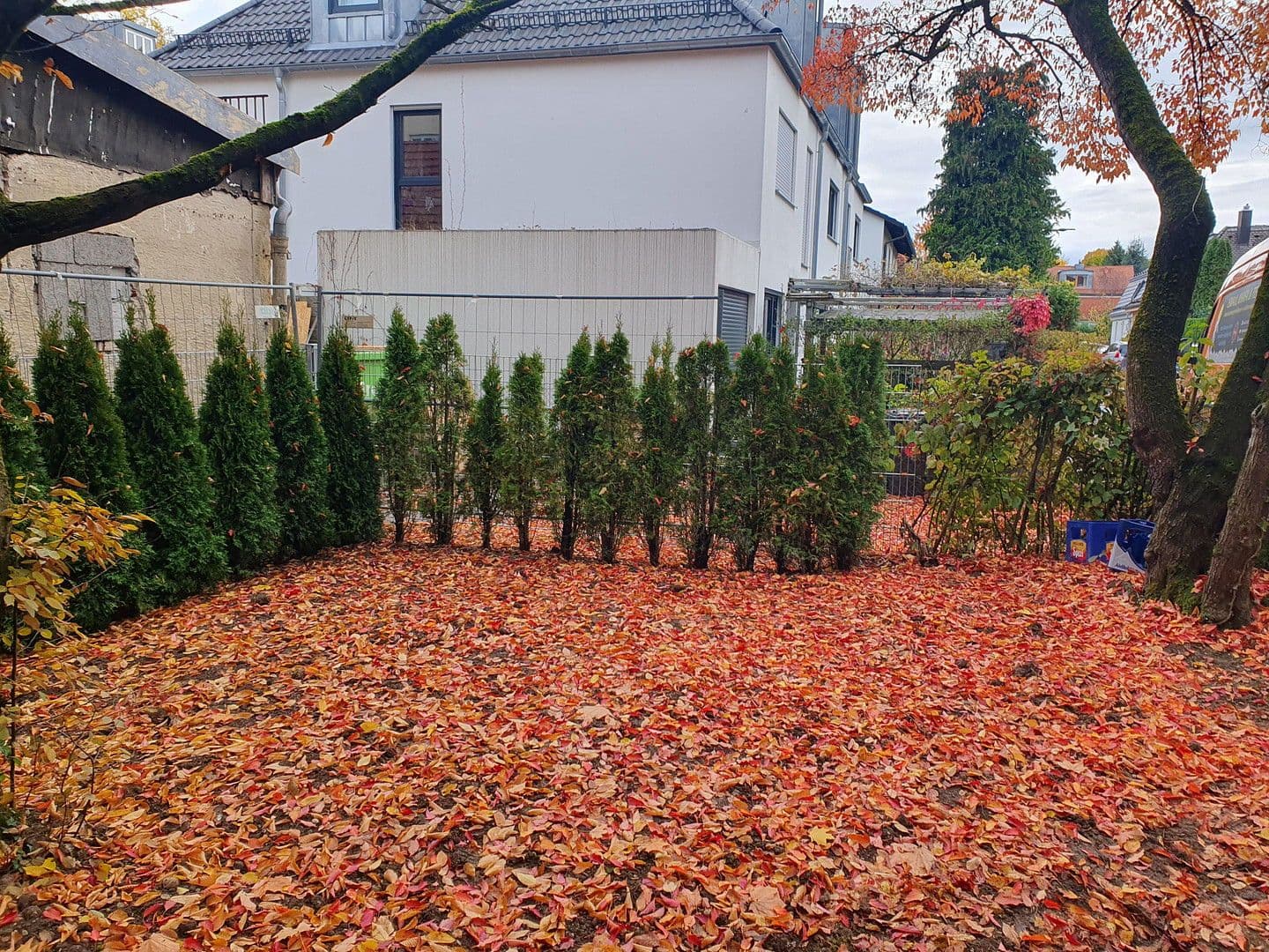 Prenájom bytu 3-izbový 95 m², Berg-am-Laim-Str. 60a, München, Bavorsko Prenájom bytu 3-izbový 95 m², Berg-am-Laim-Str. 60a, München, Bavorsko