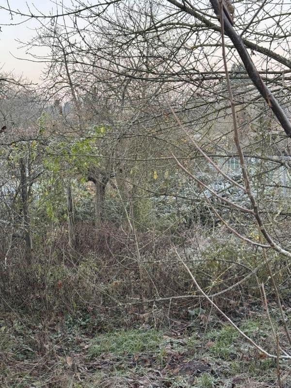 Predaj pozemku 732 m², Flst. 10525 (Grinnen), Leingarten, Leingarten, Bádensko-Wurttembersko Predaj pozemku 732 m², Flst. 10525 (Grinnen), Leingarten, Leingarten, Bádensko-Wurttembersko