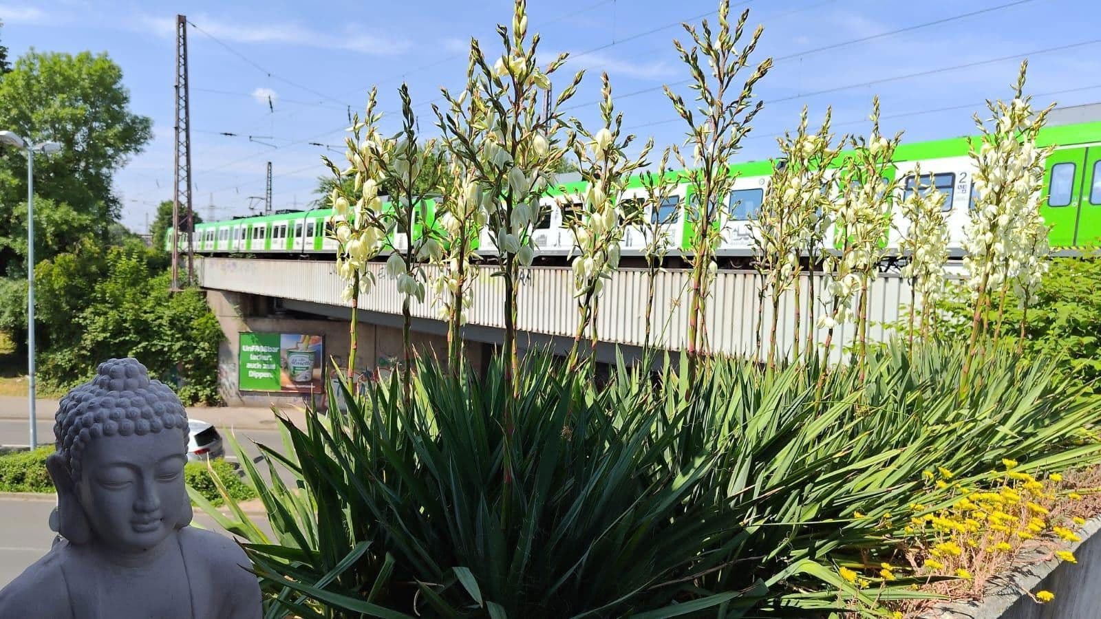 Prenájom nebytového priestoru 640 m², Mülheim an der Ruhr, Severné Porýnie - Westfálsko Prenájom nebytového priestoru 640 m², Mülheim an der Ruhr, Severné Porýnie - Westfálsko