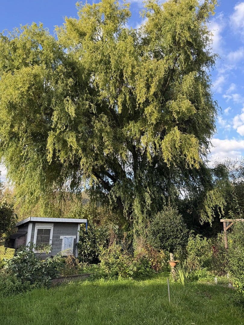 Prenájom domu 195 m², pozemek 350 m², Weinstrasse 181, Albersweiler, Porýnie-Falcko Prenájom domu 195 m², pozemek 350 m², Weinstrasse 181, Albersweiler, Porýnie-Falcko