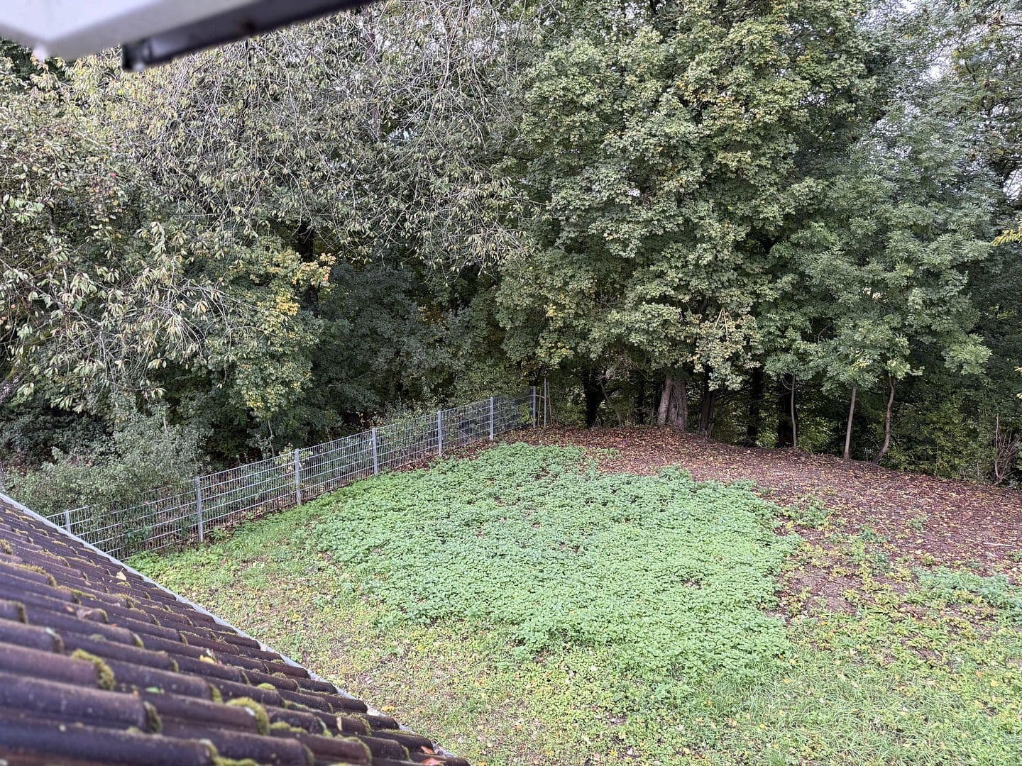 Predaj domu 150 m², pozemek 730 m², Schechingen, Bádensko-Wurttembersko Predaj domu 150 m², pozemek 730 m², Schechingen, Bádensko-Wurttembersko