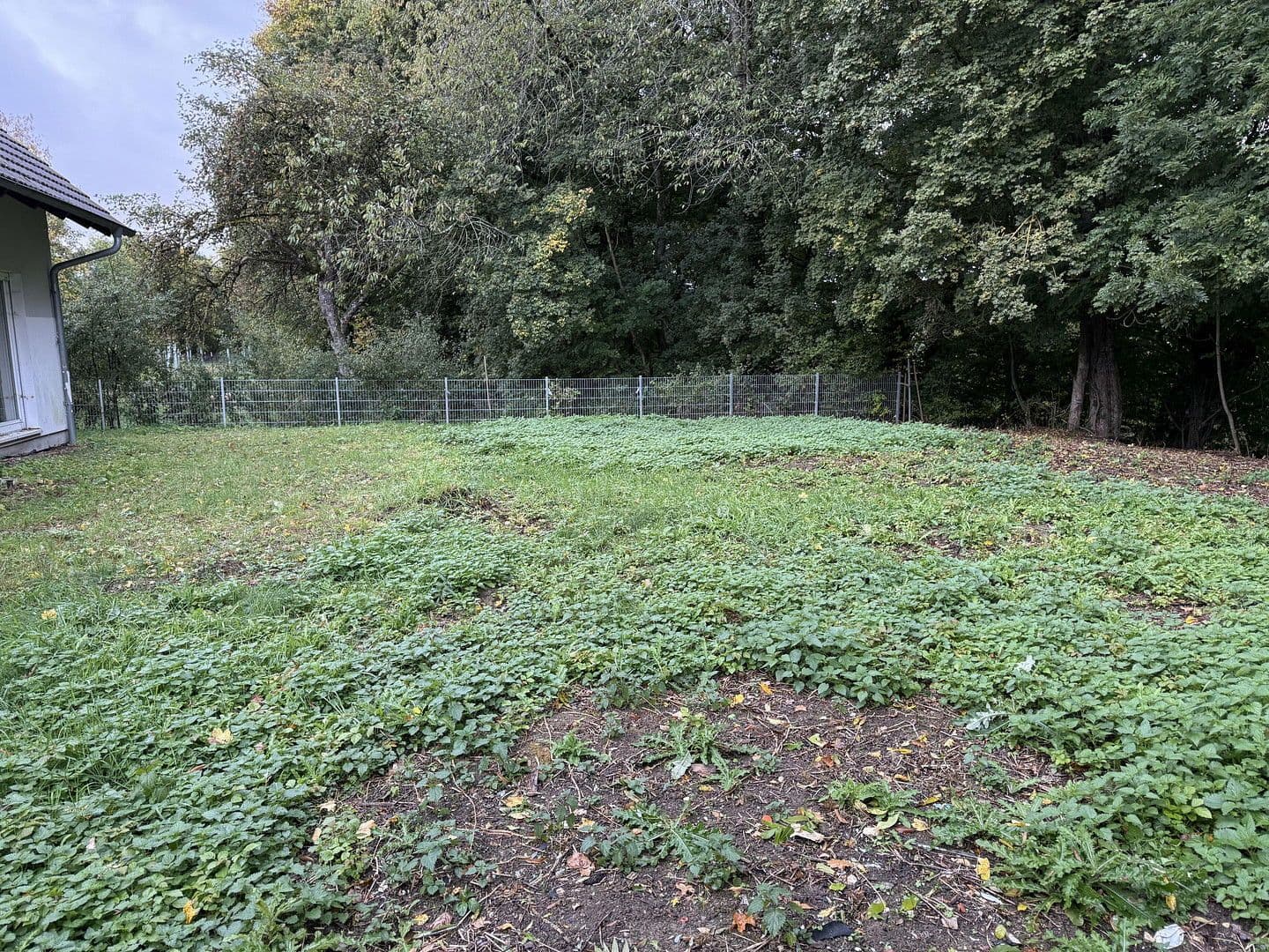 Predaj domu 150 m², pozemek 730 m², Schechingen, Bádensko-Wurttembersko Predaj domu 150 m², pozemek 730 m², Schechingen, Bádensko-Wurttembersko