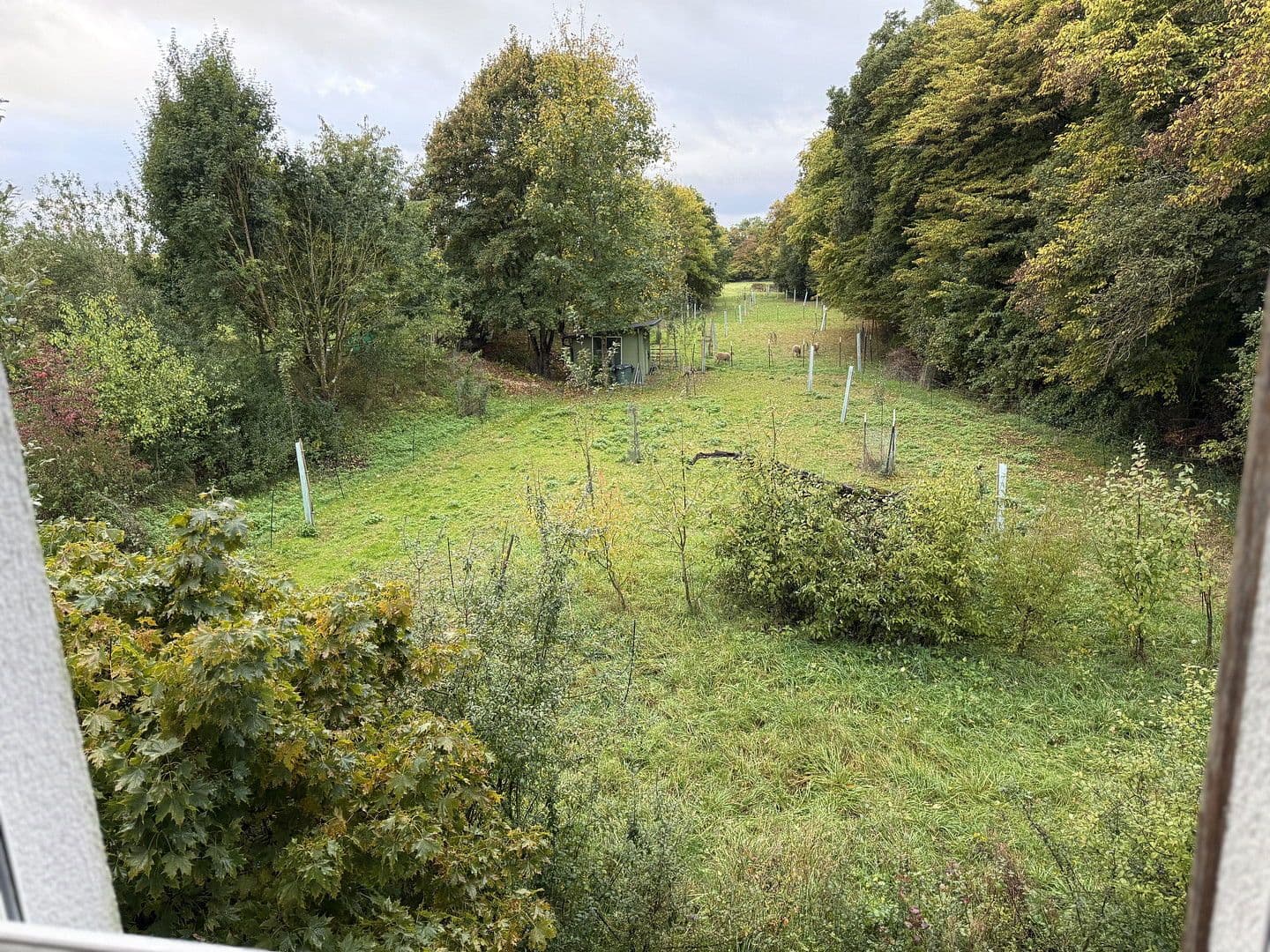 Predaj domu 150 m², pozemek 730 m², Schechingen, Bádensko-Wurttembersko Predaj domu 150 m², pozemek 730 m², Schechingen, Bádensko-Wurttembersko