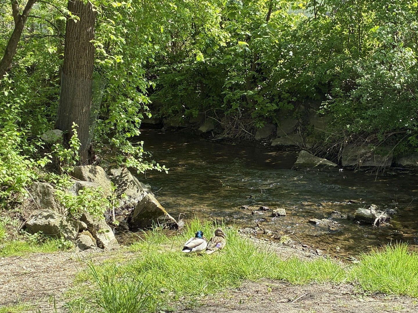 Predaj bytu 3-izbový 102 m², Mering, Bavorsko Predaj bytu 3-izbový 102 m², Mering, Bavorsko