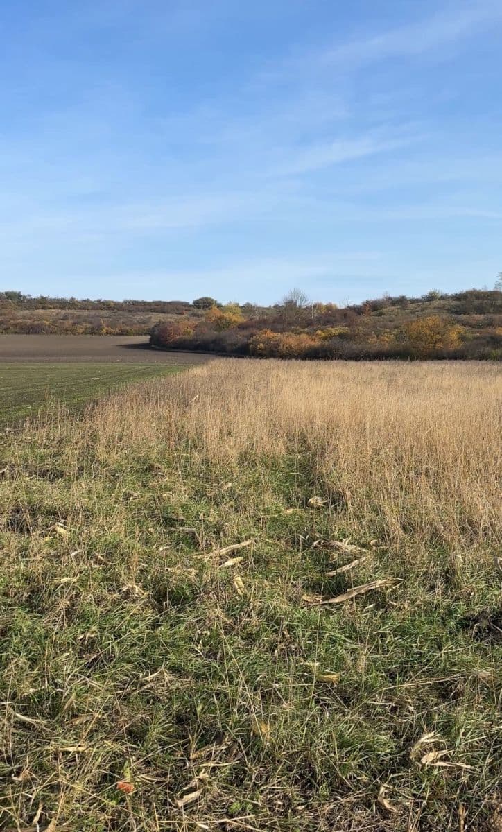 Predaj pozemku 2.534 m², Nedomice, Středočeský kraj Predaj pozemku 2.534 m², Nedomice, Středočeský kraj