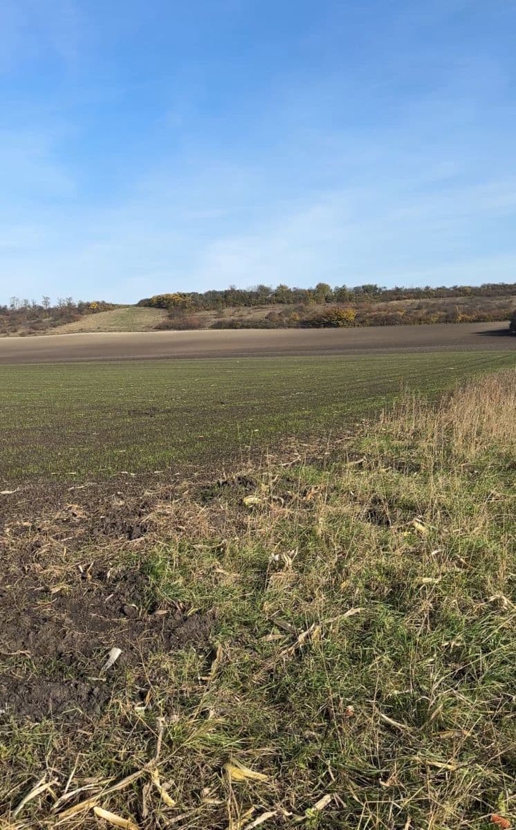 Predaj pozemku 2.534 m², Nedomice, Středočeský kraj Predaj pozemku 2.534 m², Nedomice, Středočeský kraj