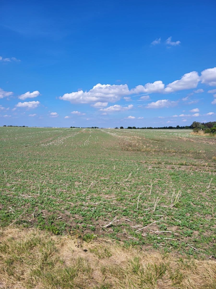 Predaj pozemku 1.500 m², K Dubečku, Praha, Praha Predaj pozemku 1.500 m², K Dubečku, Praha, Praha