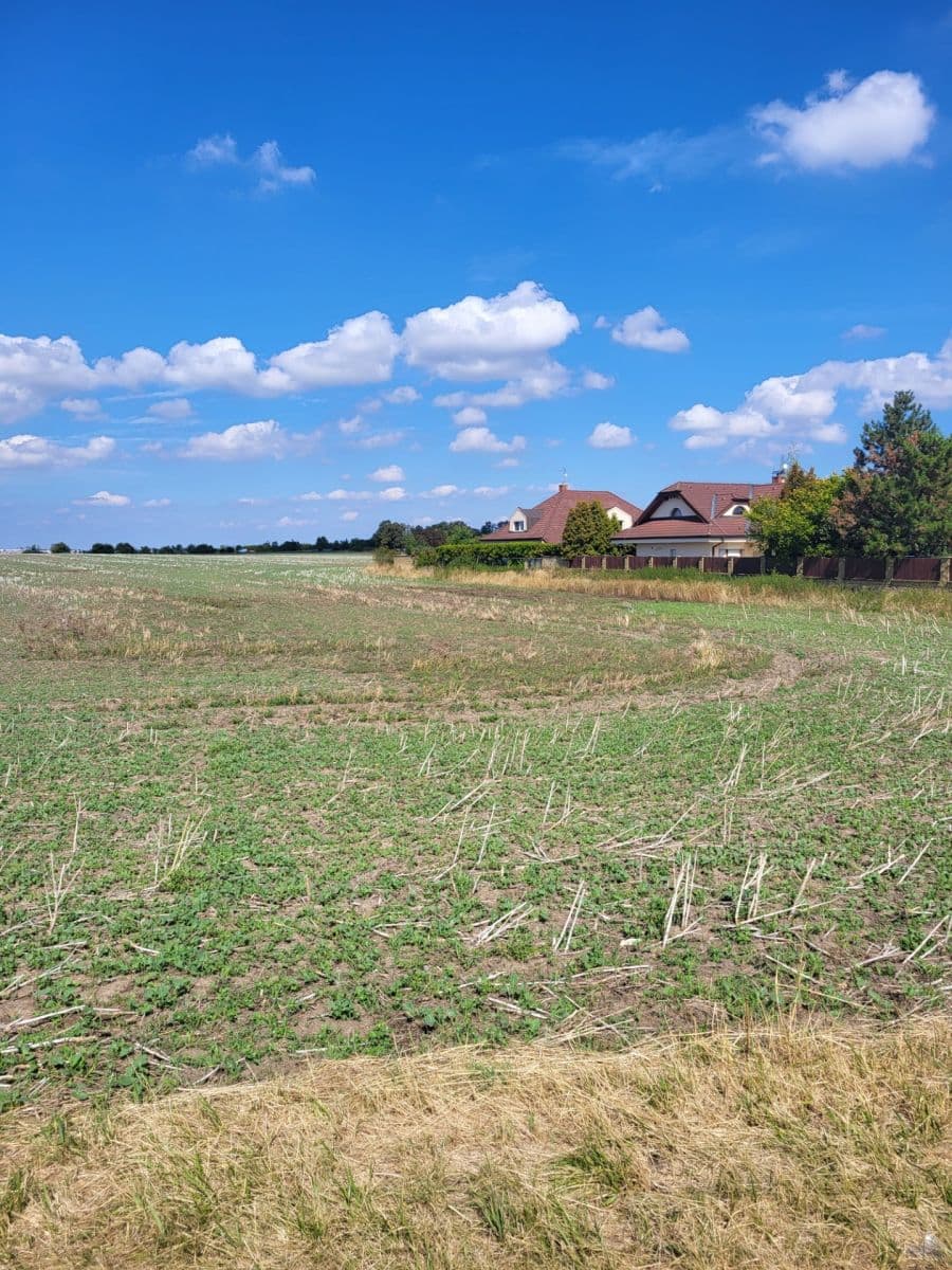 Predaj pozemku 1.500 m², K Dubečku, Praha, Praha Predaj pozemku 1.500 m², K Dubečku, Praha, Praha