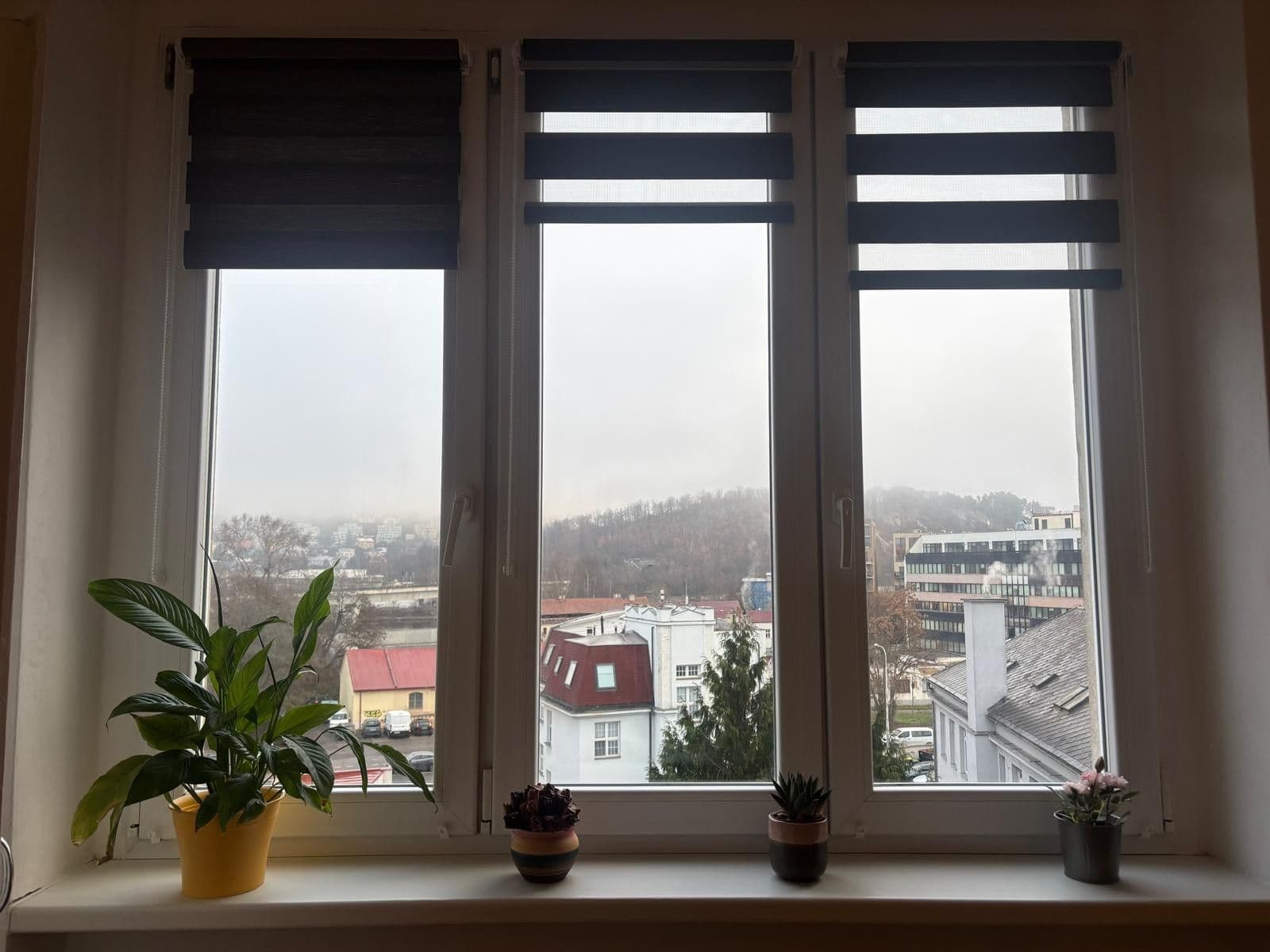 Prenájom bytu 1-izbový 32 m², Ortenovo náměstí, Praha, Praha Prenájom bytu 1-izbový 32 m², Ortenovo náměstí, Praha, Praha