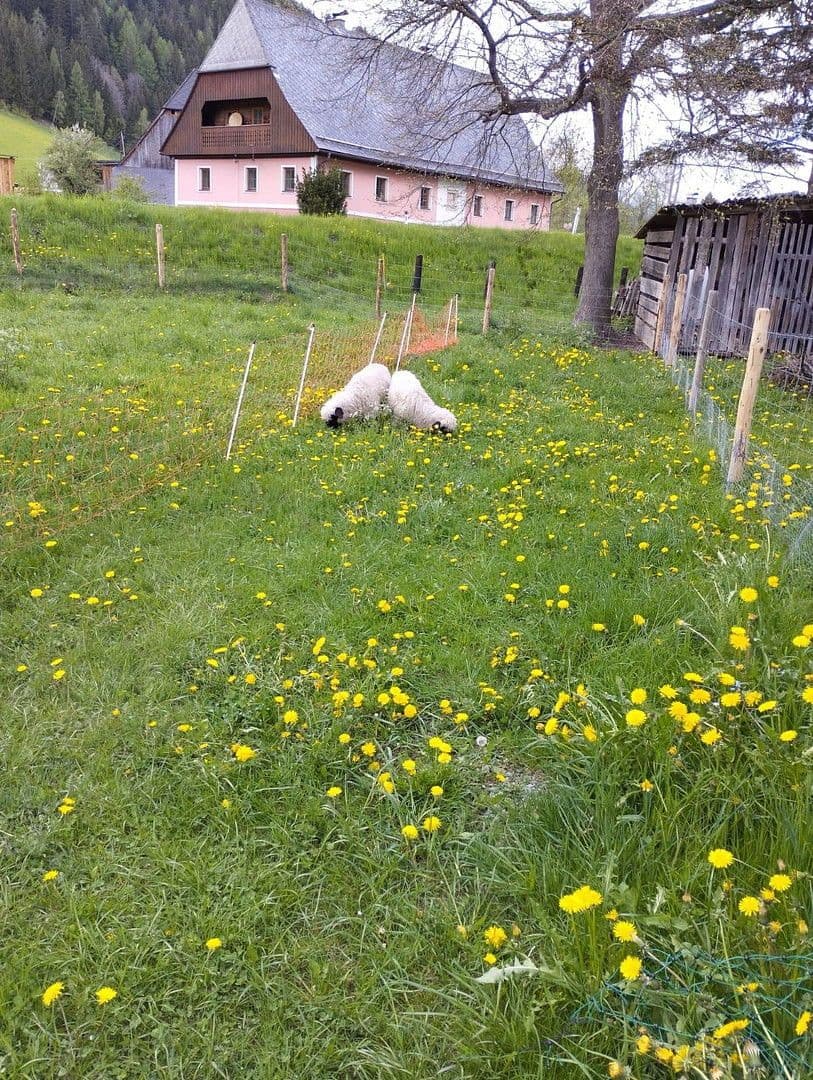 Predaj domu 55 m², pozemek 4.789 m², Schwarzviertel 20, Möderbrugg, Štajersko Predaj domu 55 m², pozemek 4.789 m², Schwarzviertel 20, Möderbrugg, Štajersko