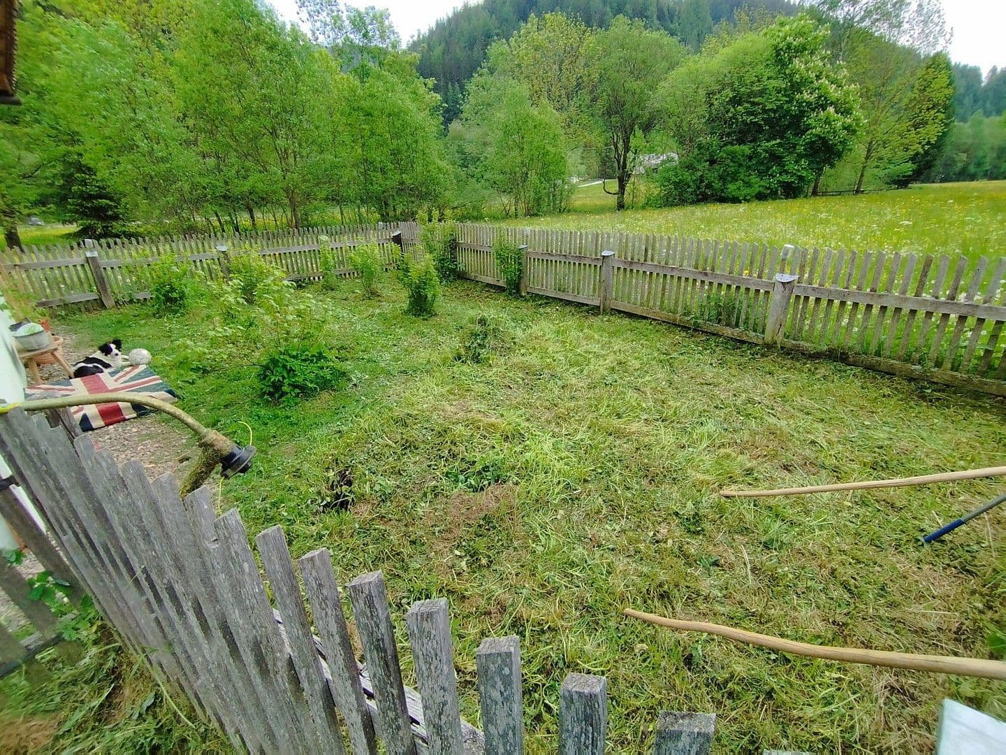 Predaj domu 55 m², pozemek 4.789 m², Schwarzviertel 20, Möderbrugg, Štajersko Predaj domu 55 m², pozemek 4.789 m², Schwarzviertel 20, Möderbrugg, Štajersko