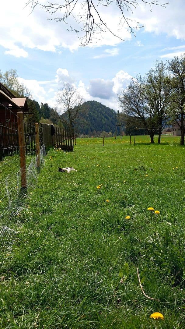 Predaj domu 55 m², pozemek 4.789 m², Schwarzviertel 20, Möderbrugg, Štajersko Predaj domu 55 m², pozemek 4.789 m², Schwarzviertel 20, Möderbrugg, Štajersko