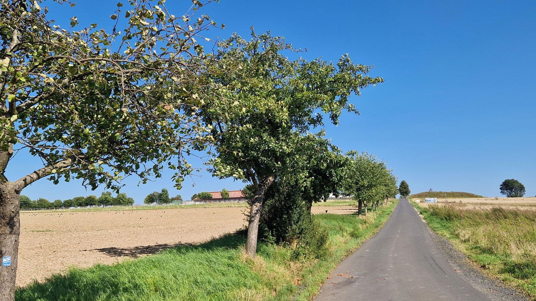 Predaj pozemku 637 m², Wiener Straße 21, Vellmar, Hesensko Predaj pozemku 637 m², Wiener Straße 21, Vellmar, Hesensko