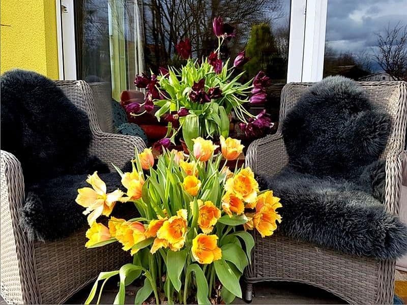 Predaj bytu 3-izbový 130 m², Österreich, Salzburg, Salzbursko Predaj bytu 3-izbový 130 m², Österreich, Salzburg, Salzbursko