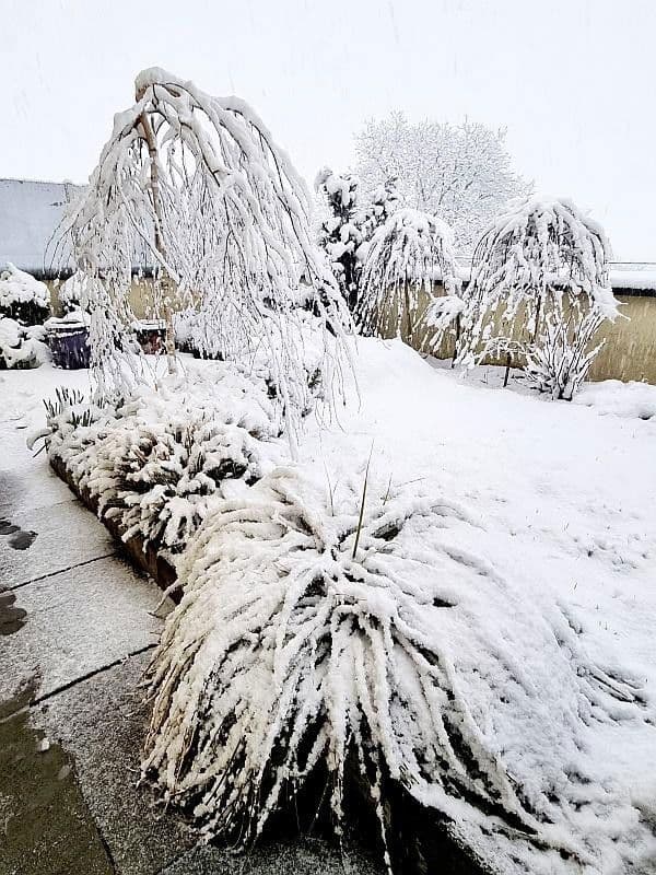 Predaj bytu 3-izbový 130 m², Österreich, Salzburg, Salzbursko Predaj bytu 3-izbový 130 m², Österreich, Salzburg, Salzbursko