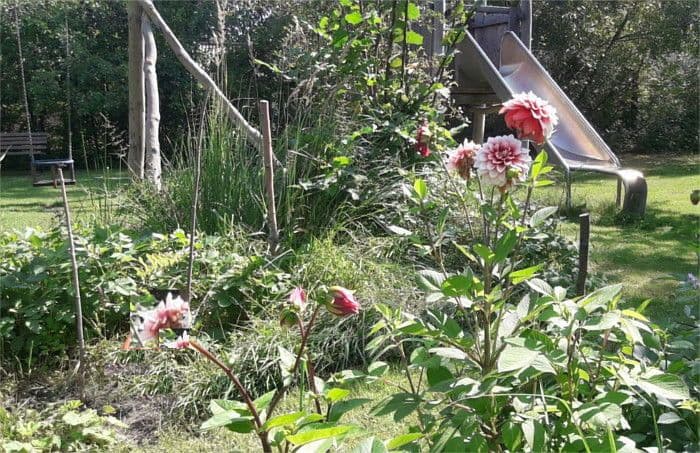 Predaj domu 835 m², pozemek 5.200 m², Rechlin, Meklenbursko-Predpomoransko Predaj domu 835 m², pozemek 5.200 m², Rechlin, Meklenbursko-Predpomoransko