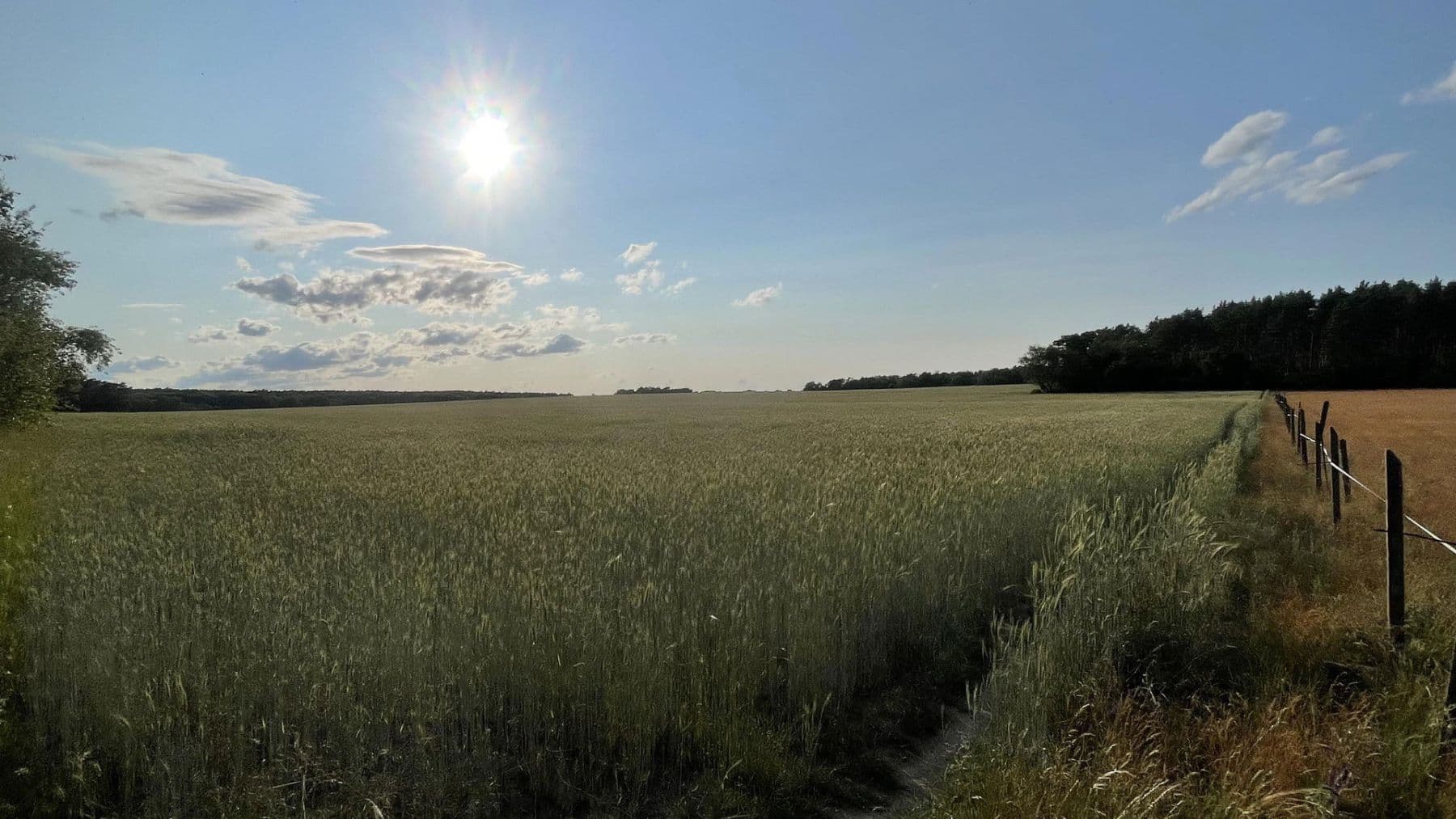 Predaj pozemku 19.700 m², Schulzendorf, Brandenbursko Predaj pozemku 19.700 m², Schulzendorf, Brandenbursko