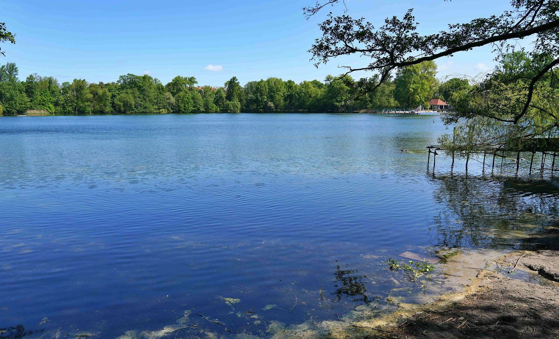 Prenájom bytu 2-izbový 62 m², Parkstr. 89 D, Berlin, Berlín Prenájom bytu 2-izbový 62 m², Parkstr. 89 D, Berlin, Berlín